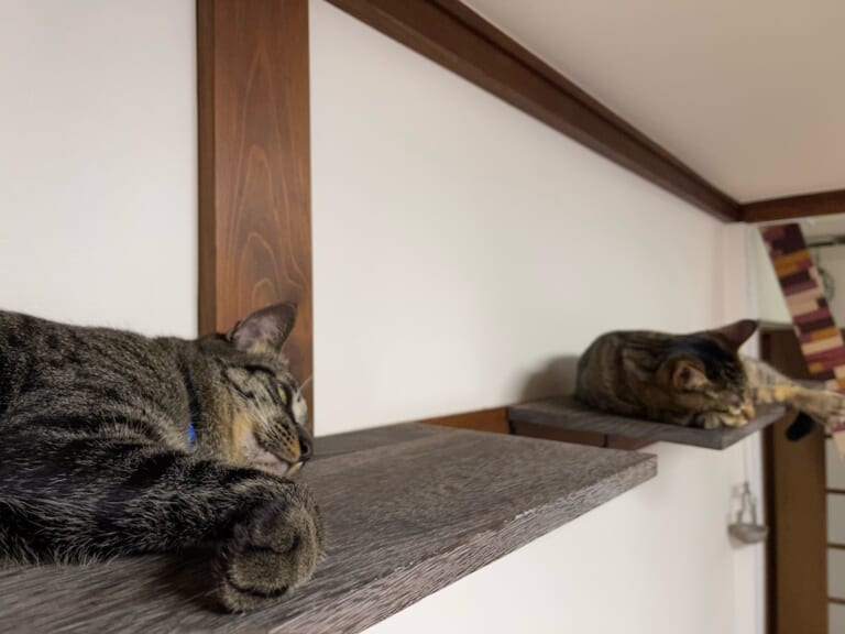 床の間と鴨居をDIYで改造して「猫の間」&キャットウォーク …